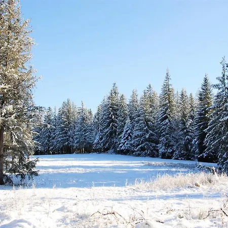 Zespol Dolina Bialego - Bialy Potok Penzion Zakopane